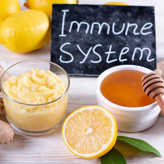 Immunsystem stärken – 7 einfache Tipps für Deine Abwehr