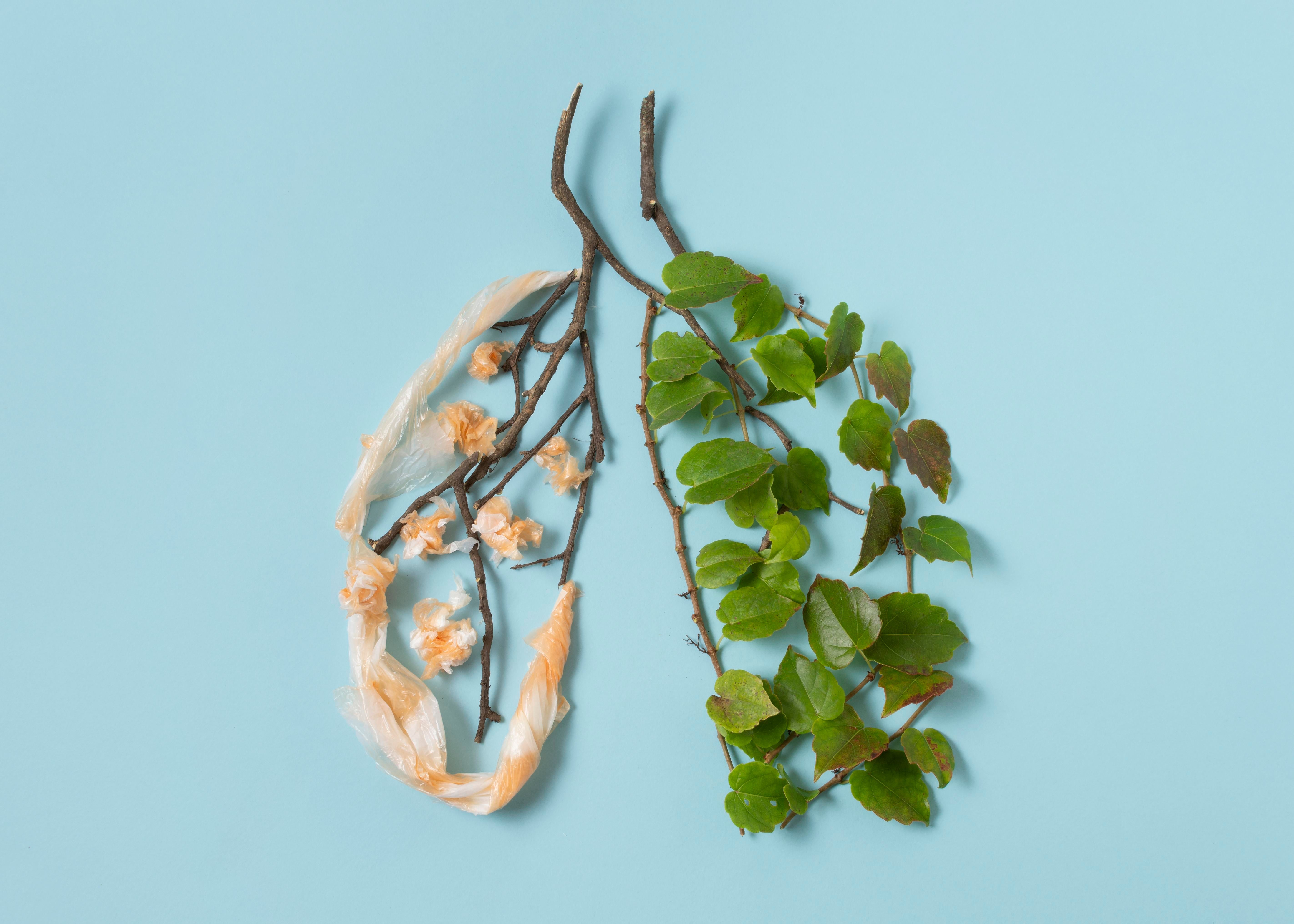COPD natürlich entgegenwirken - Atemerleichterung durch Naturheilkunde