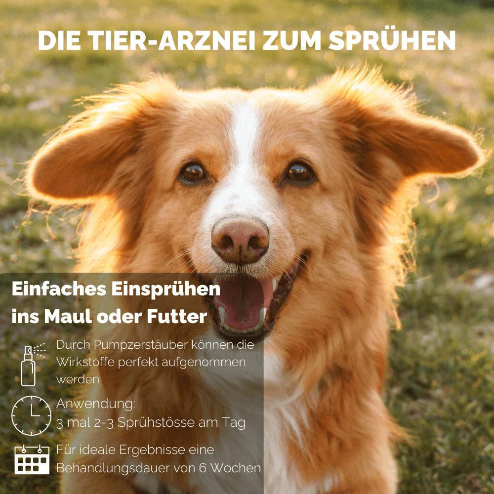 4262416550517_DE_4