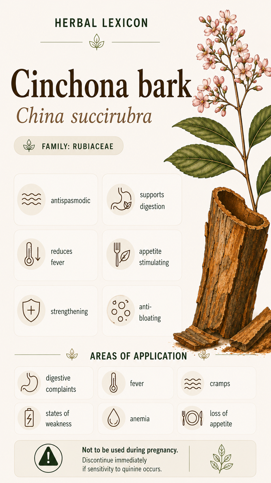 Cinnamon Bark: Properties, Uses, and Effects