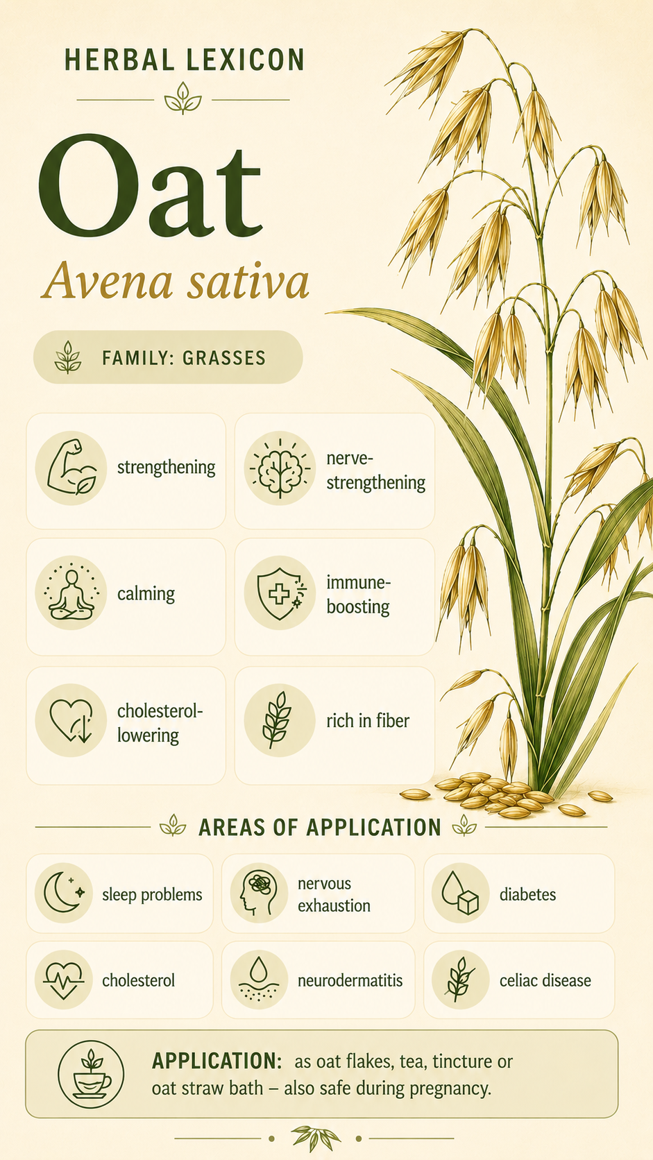 Oats: Properties, Uses, and Effects