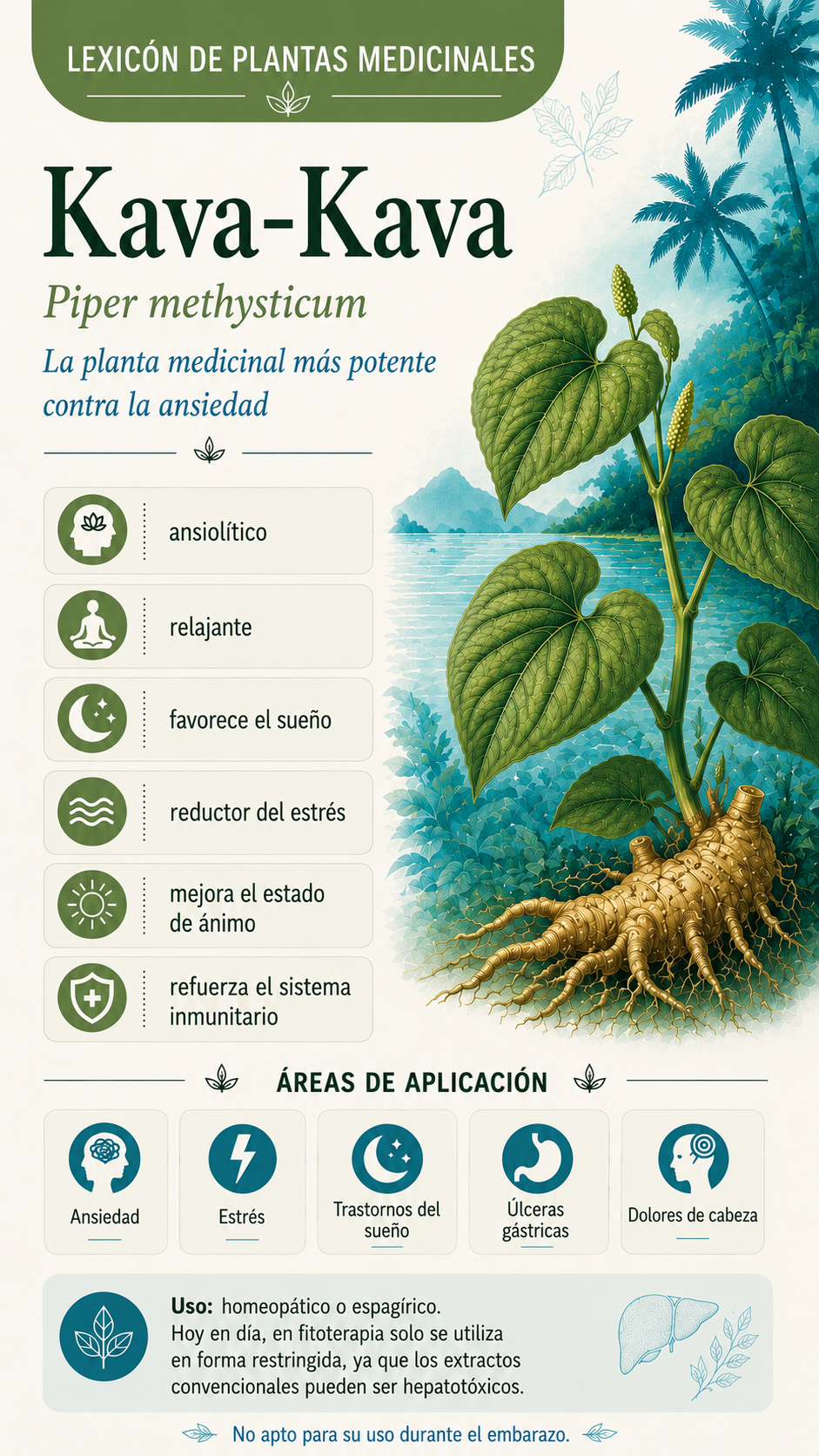 Kava-kava: propiedades, uso y efectos