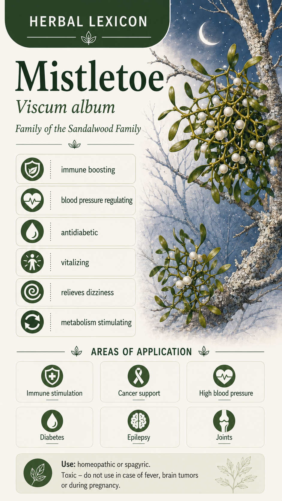 Mistletoe: Properties, Uses, and Effects