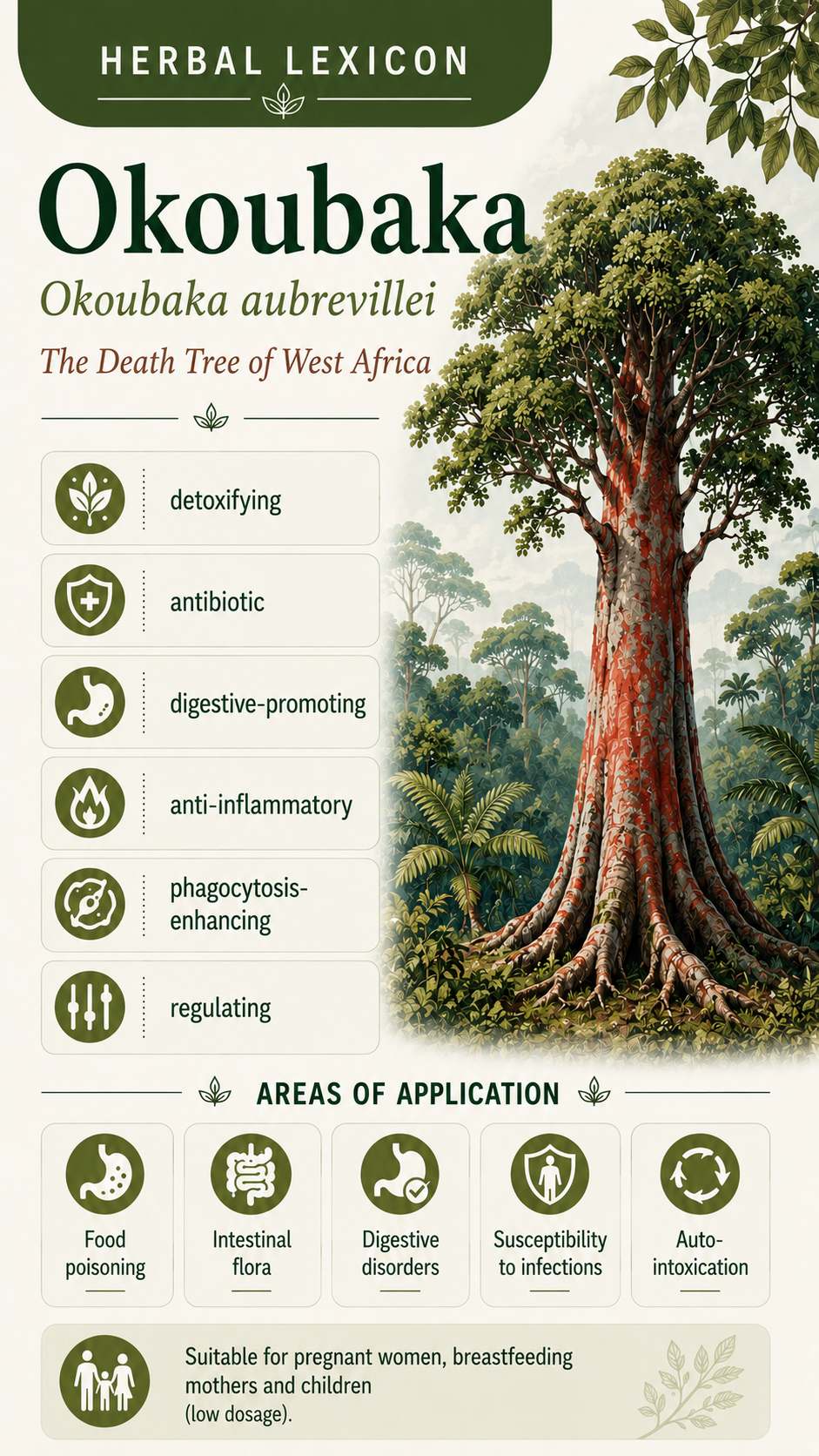 Okoubaka: Properties, Uses & Effects