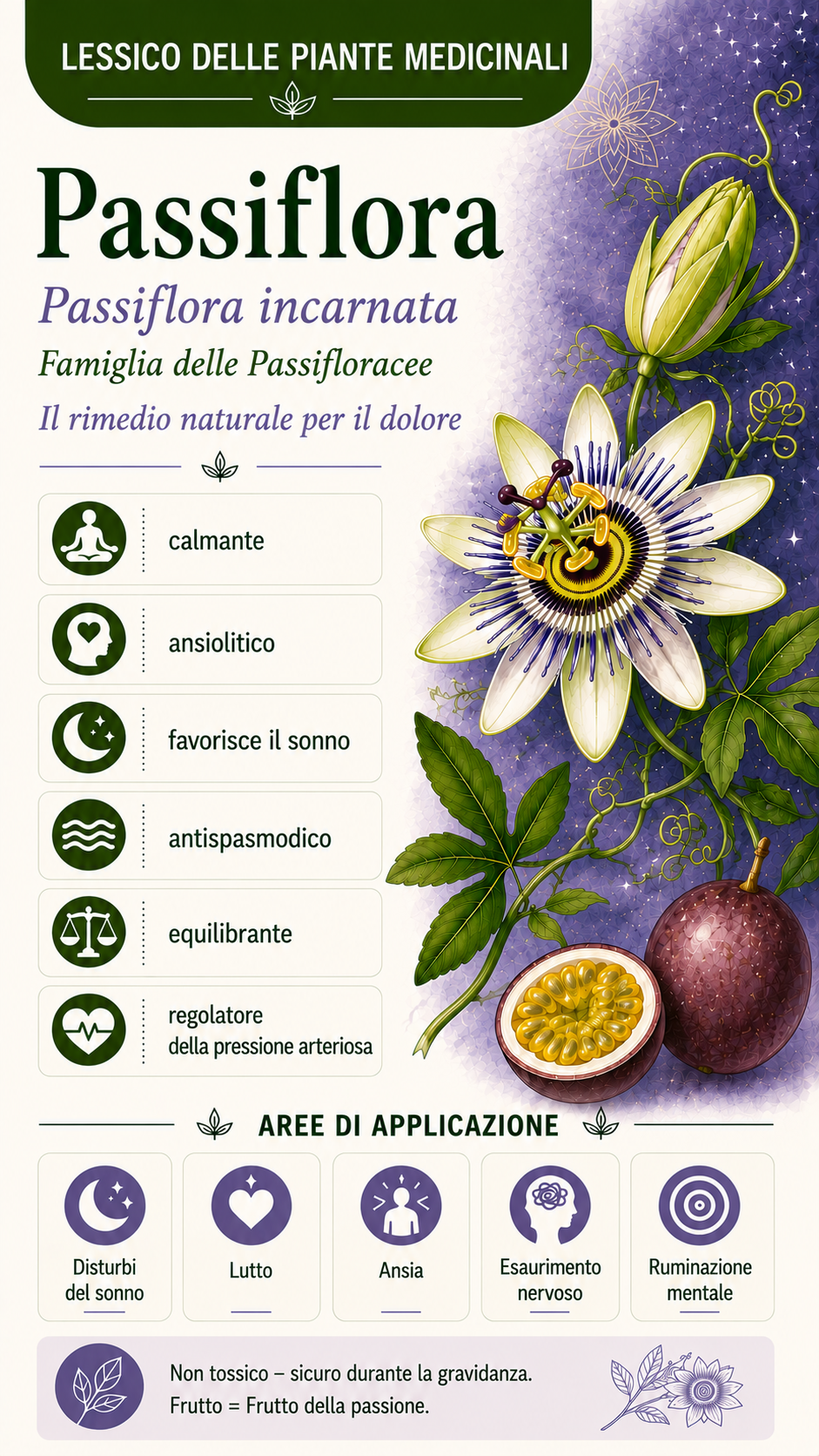 Passiflora: proprietà, uso ed effetti