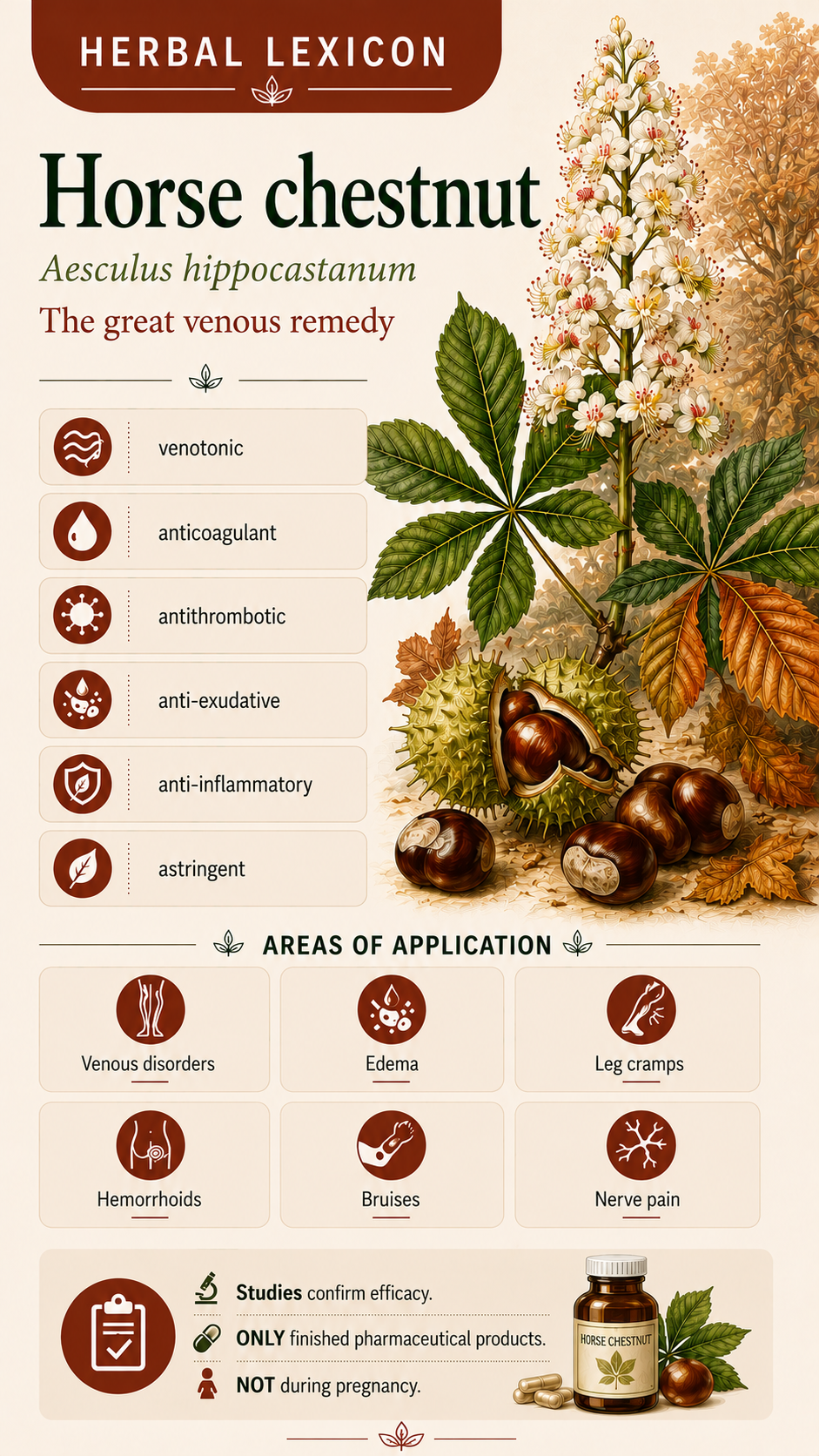 Horse Chestnut: Properties, Uses & Effects