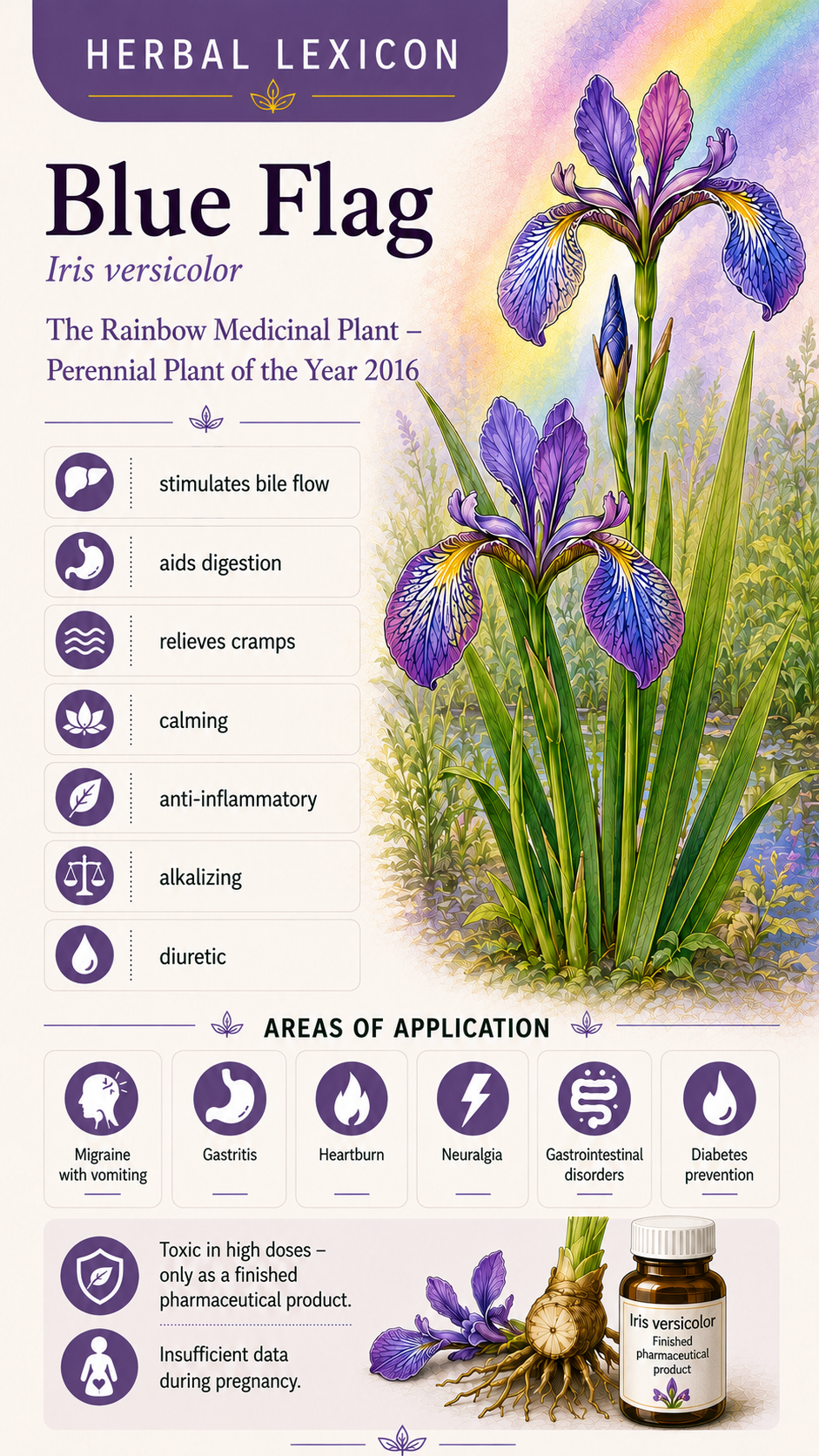 Iris: Properties, Uses & Effects