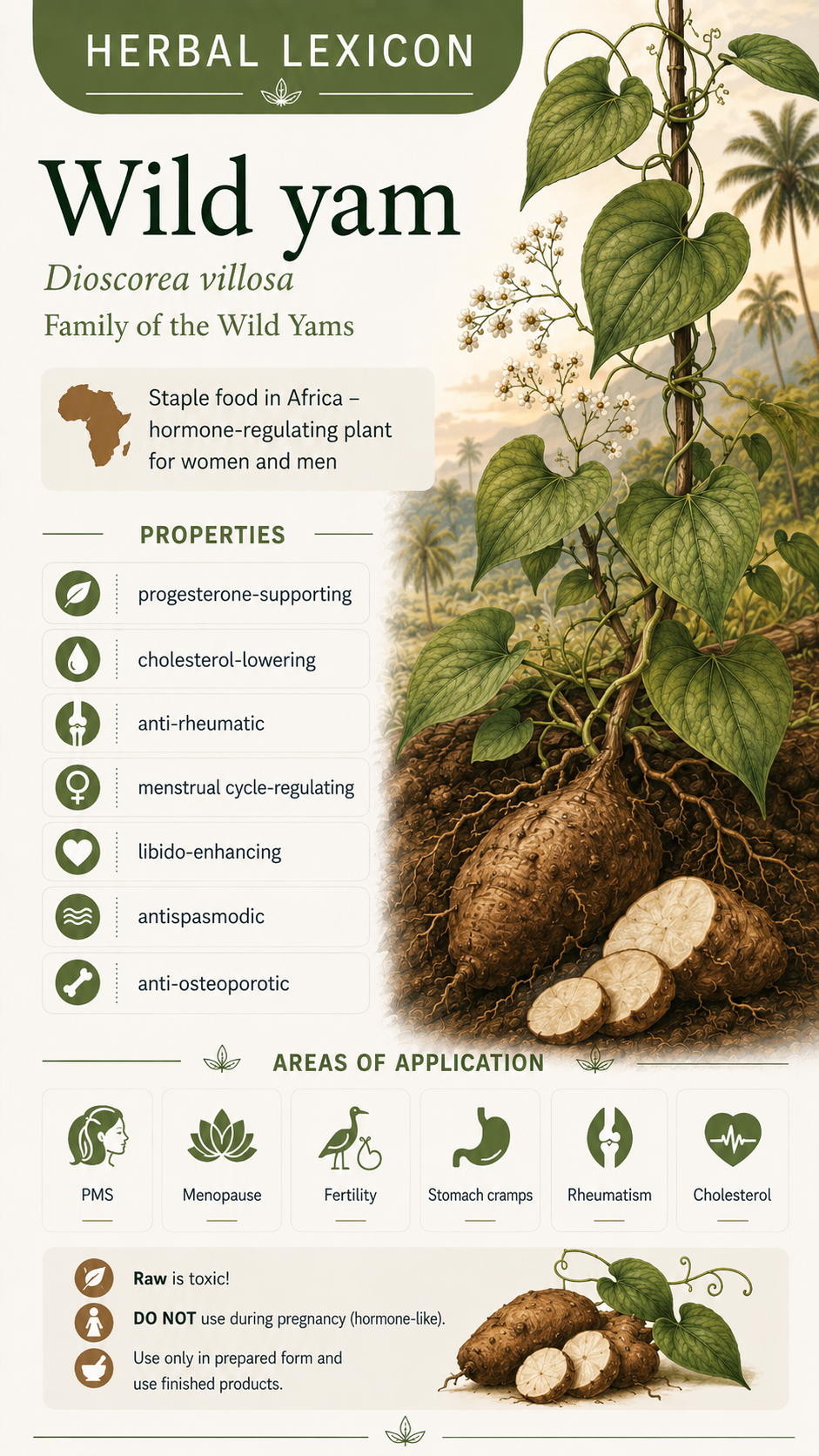 Wild Yam (Dioscorea villosa): Properties, Uses, and Effects