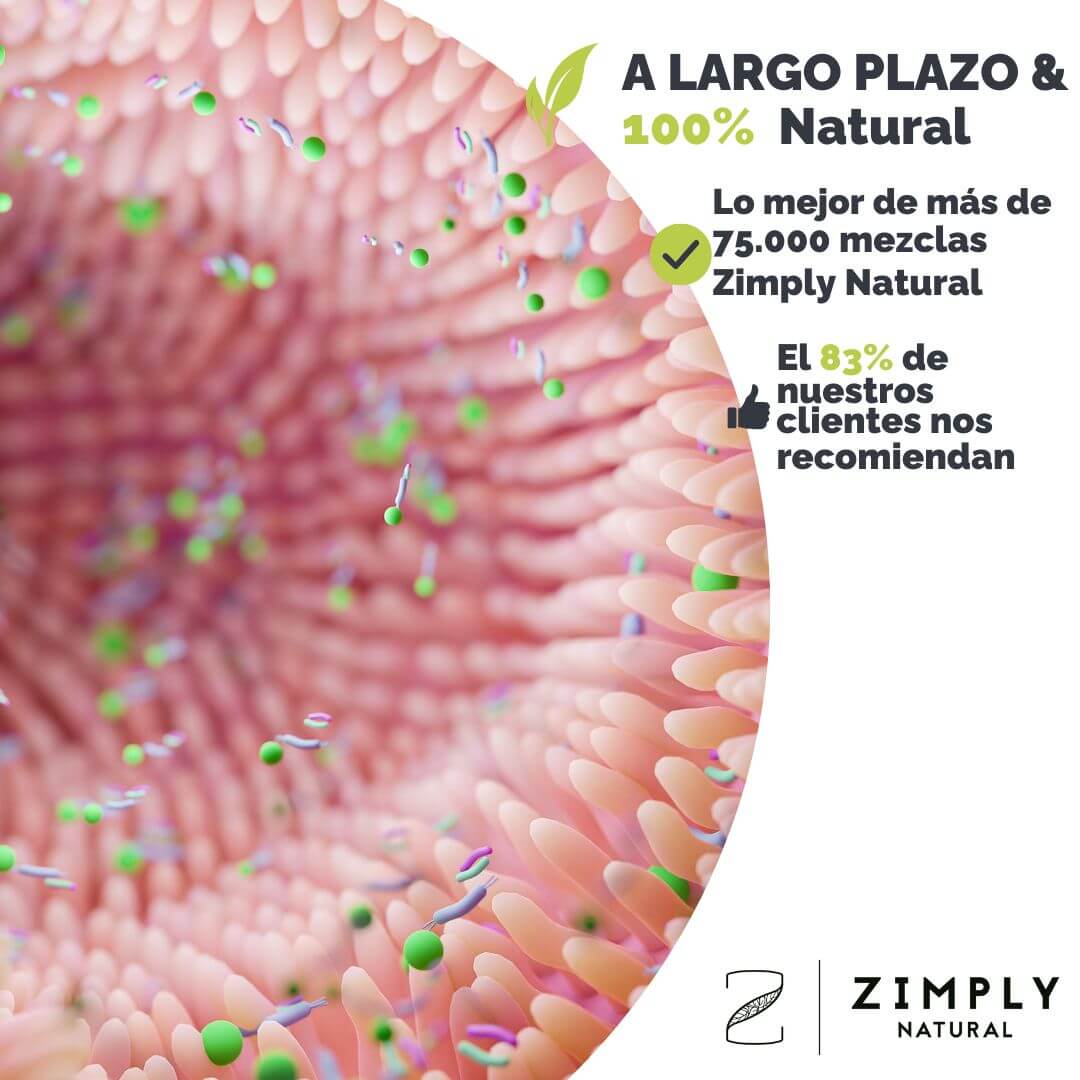 4262416553778_ES_1