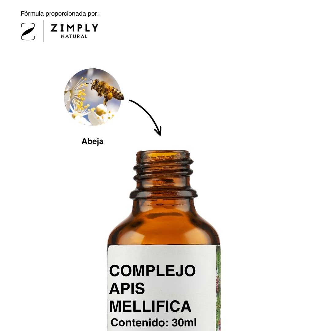 4262416551675_ES_2