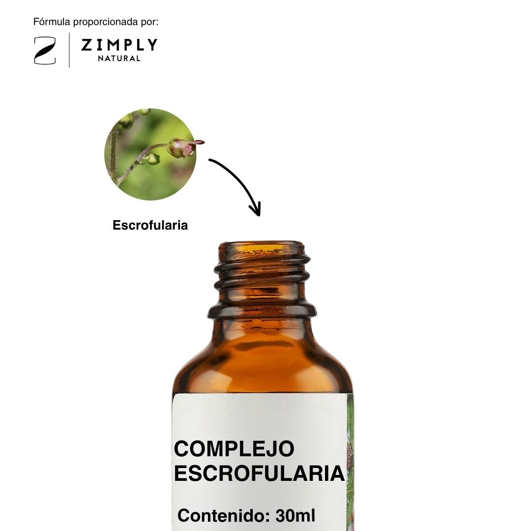 4262416552313_ES_2