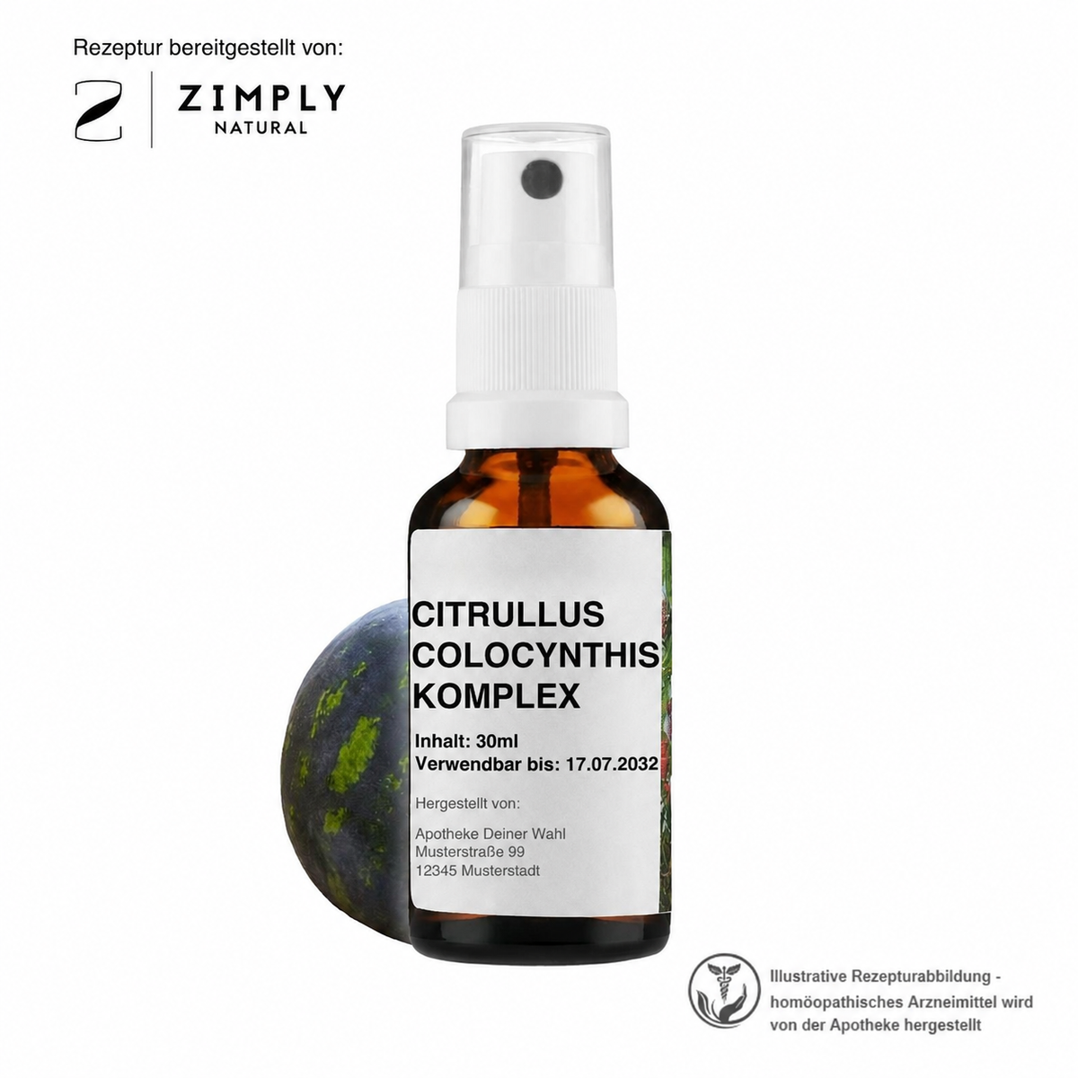 CITRULLUS COLOCYNTHIS KOMPLEX