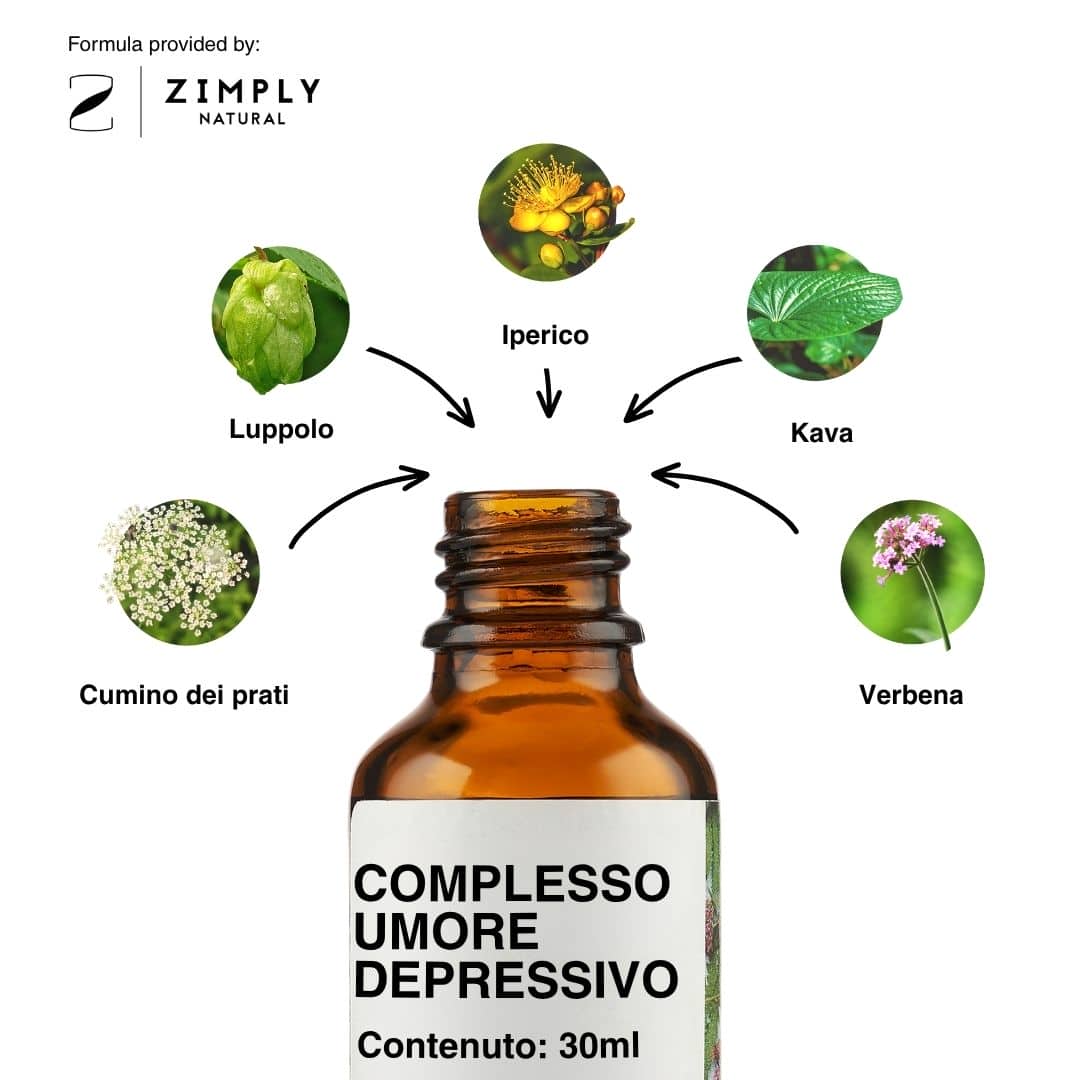 4262416550210_IT_2