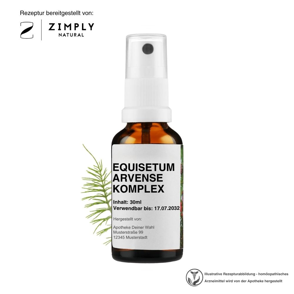 EQUISETUM ARVENSE KOMPLEX