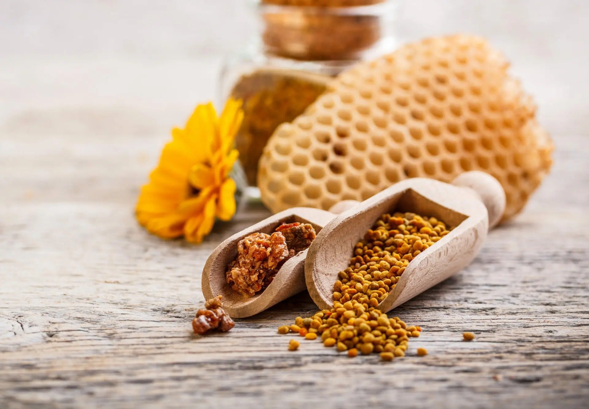 Propolis