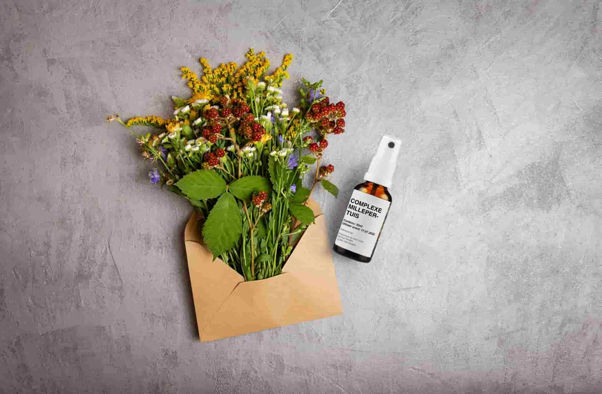 4262416552085_FR_5