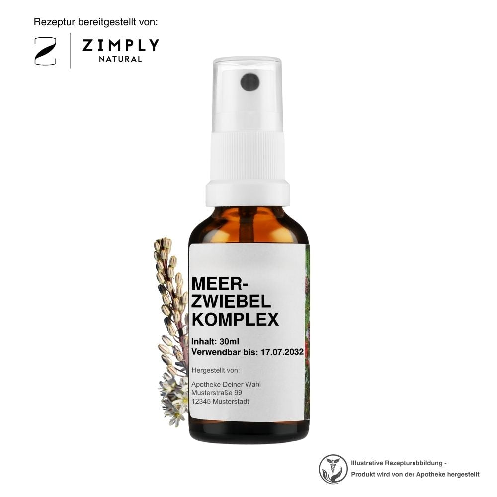 https://cdn.zimplynatural.com/2025/09/meerzwiebel_hero_B_DE.jpg