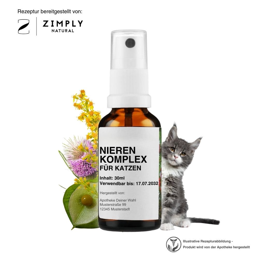 https://www.zimplynatural.com/wp-content/uploads/2025/09/niere_katze_hero_B_DE.jpg