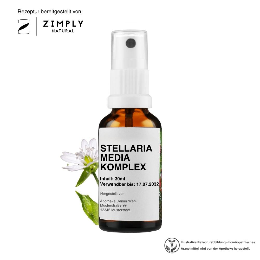 STELLARIA MEDIA KOMPLEX
