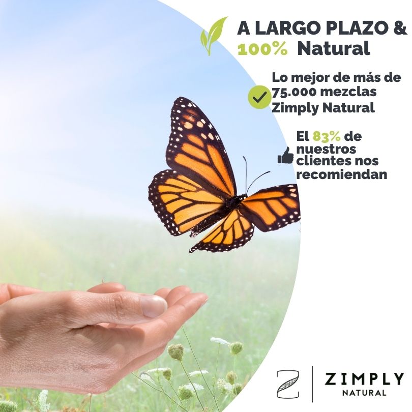4262416551163_ES_1
