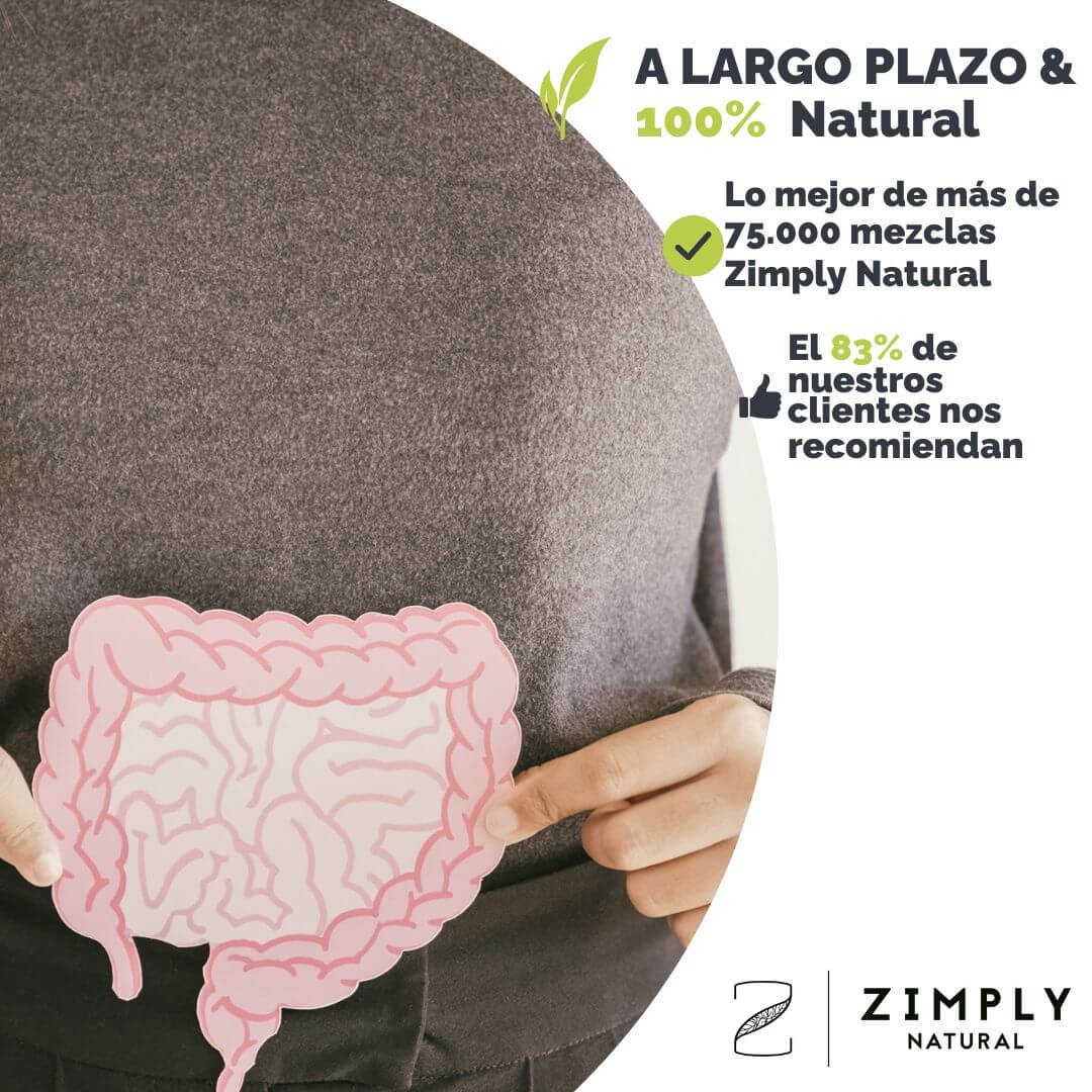 4262416554140_ES_1