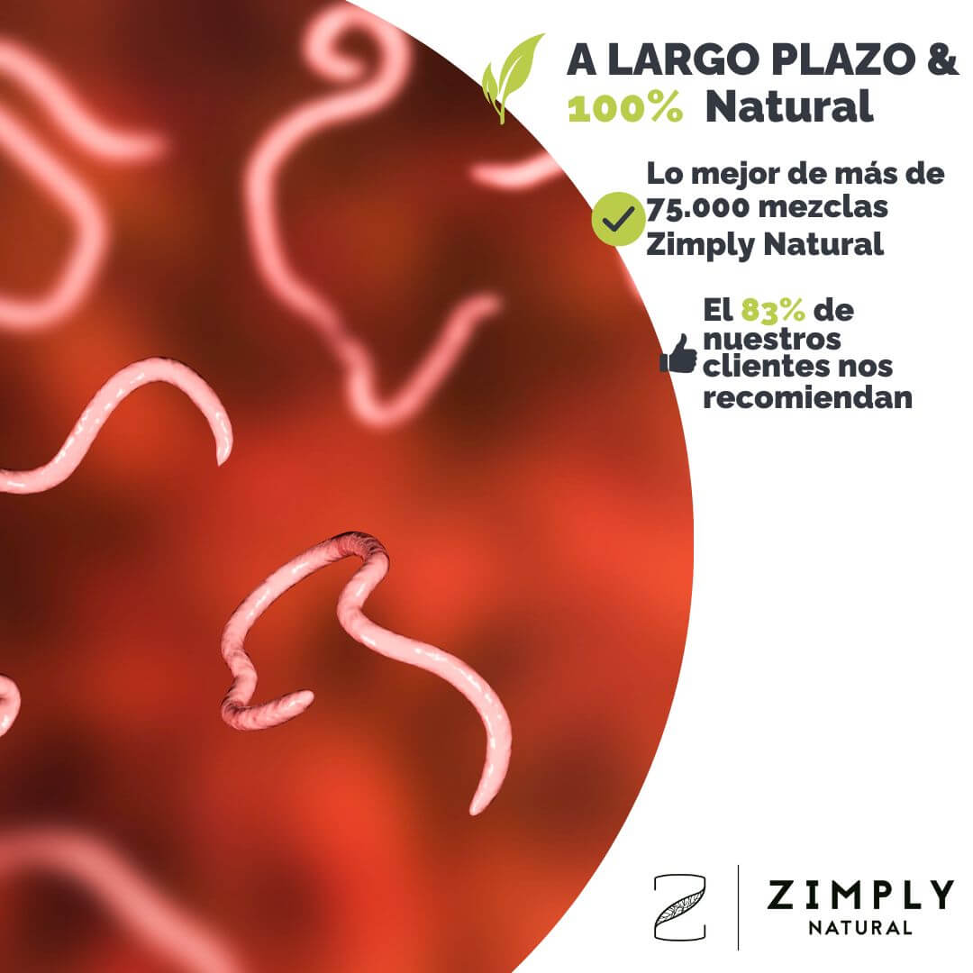 4262416553952_ES_1