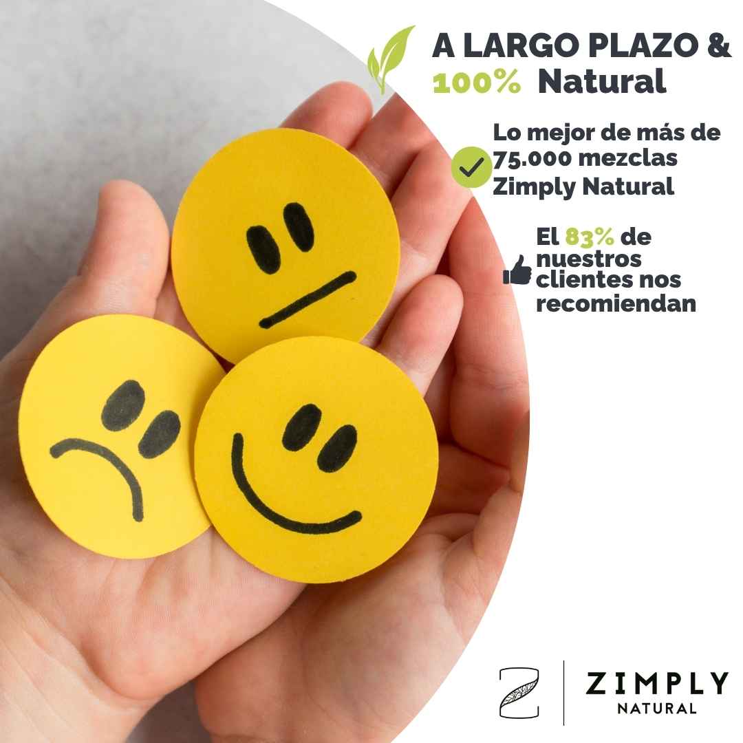 4262416554041_ES_1