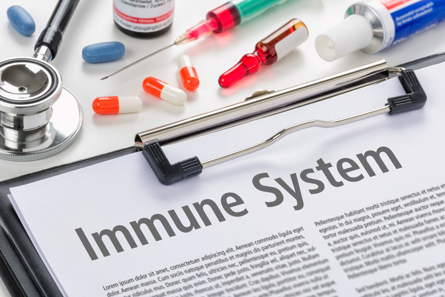 Darm und Immunsystem: Warum deine Abwehr im Bauch beginnt