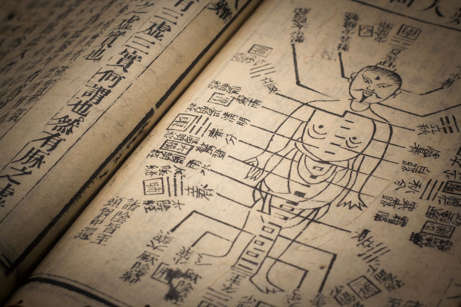TCM verstehen: Was hinter der traditionellen chinesischen Medizin steckt