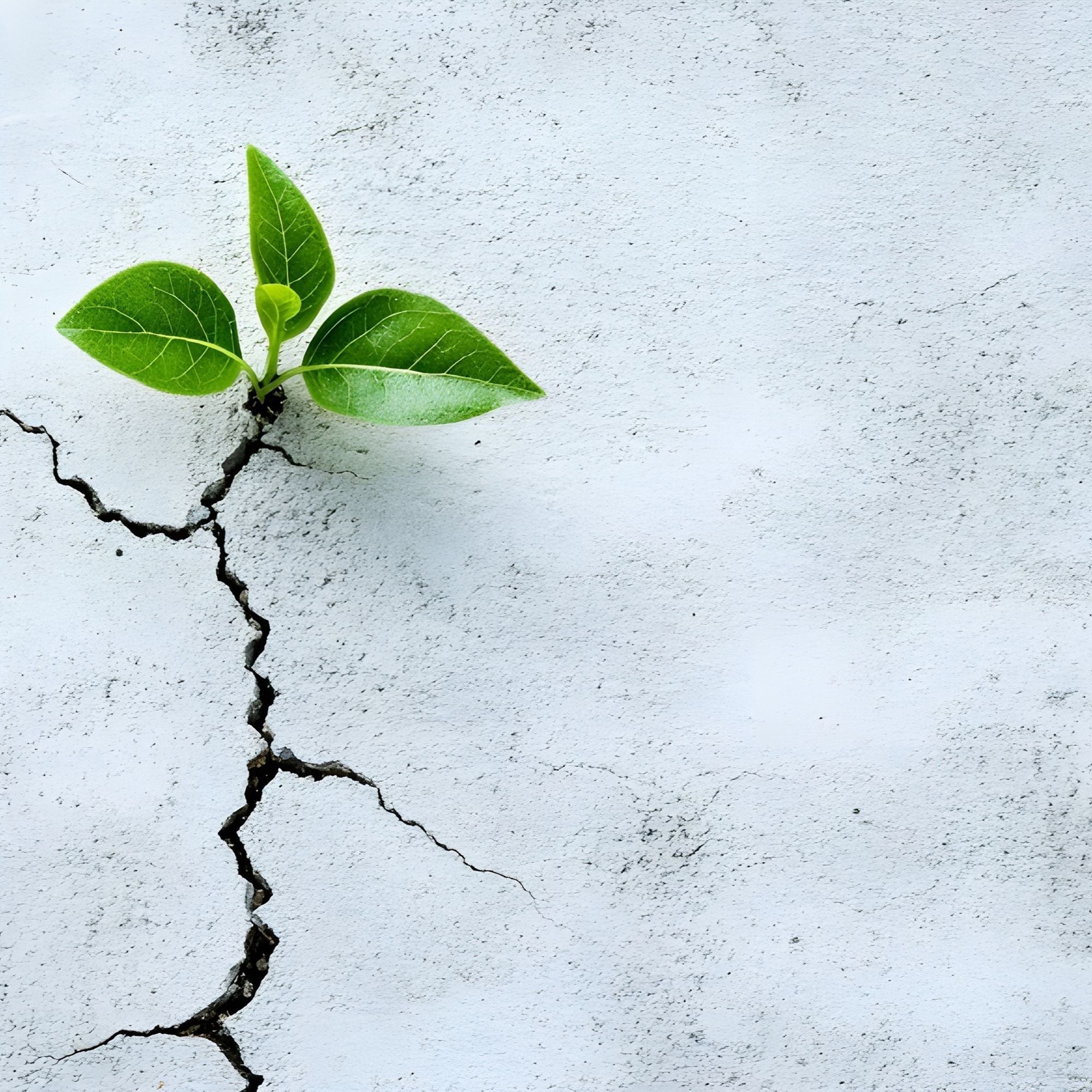 Resilienz in unsicheren Zeiten