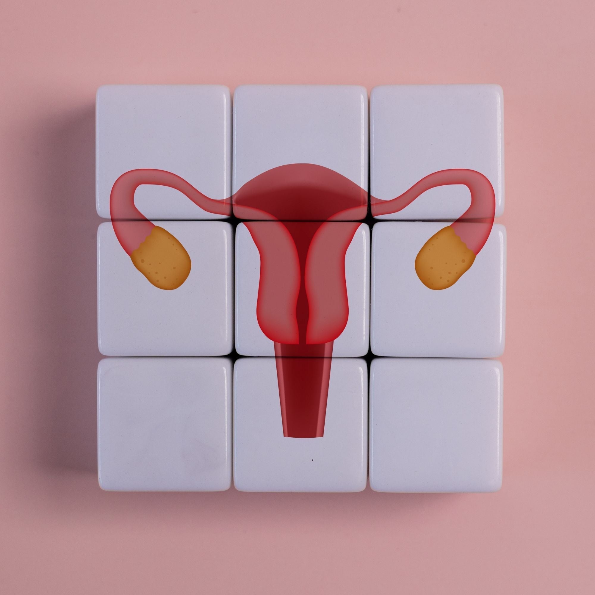 PCOS verstehen: Ursachen, Symptome und natürliche Unterstützung beim polyzystischen Ovarialsyndrom
