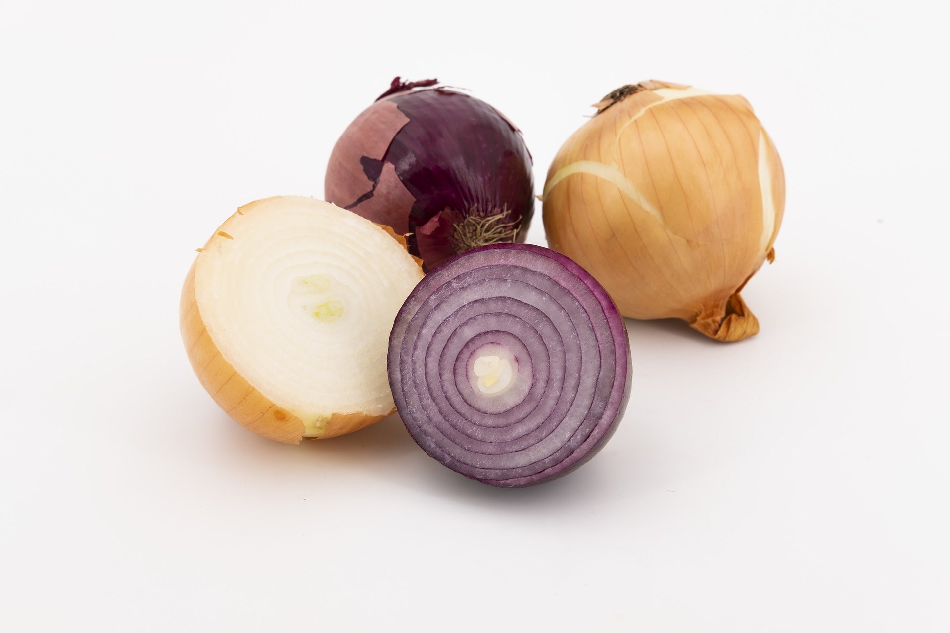 Küchenzwiebel