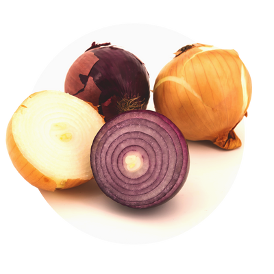Küchenzwiebel