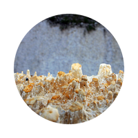 Kaolin