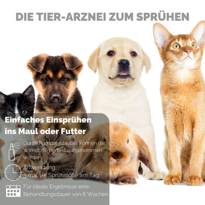 4262416550579_DE_4