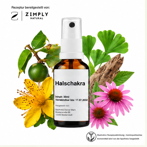 4262416554362::fr