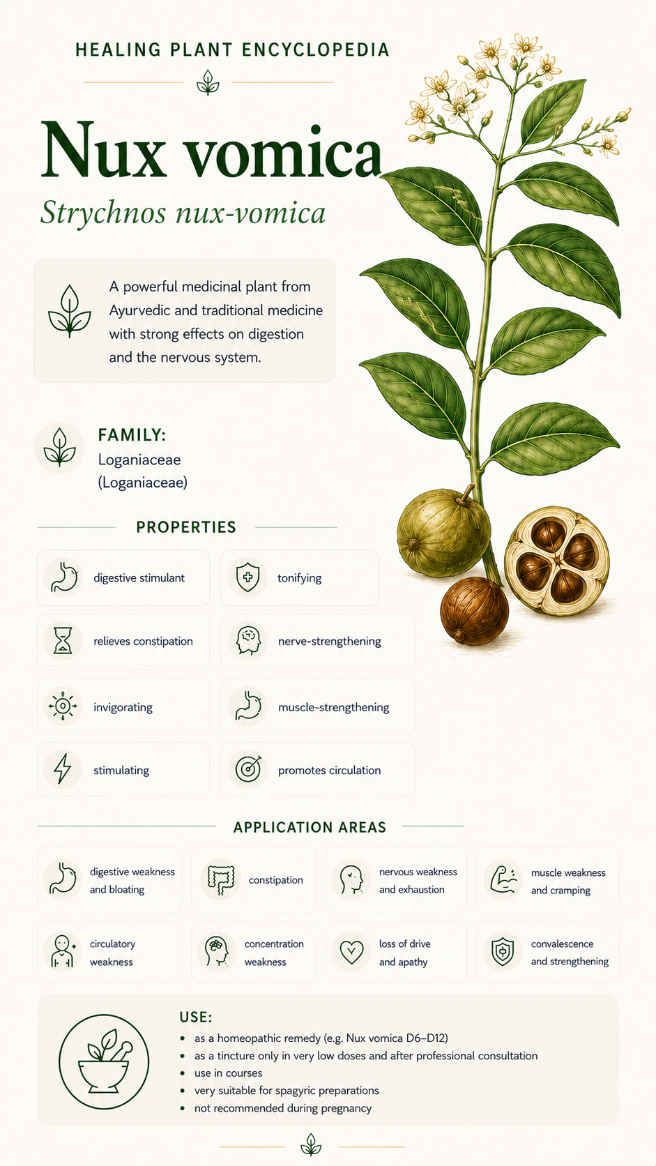 Blackthorn: Properties, Uses & Effects