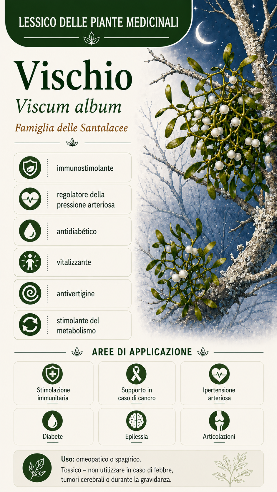 Vischio: proprietà, uso ed effetti