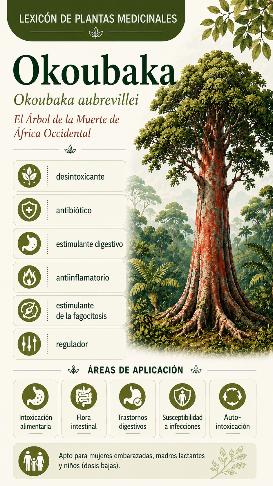 Okoubaka: propiedades, usos y efectos