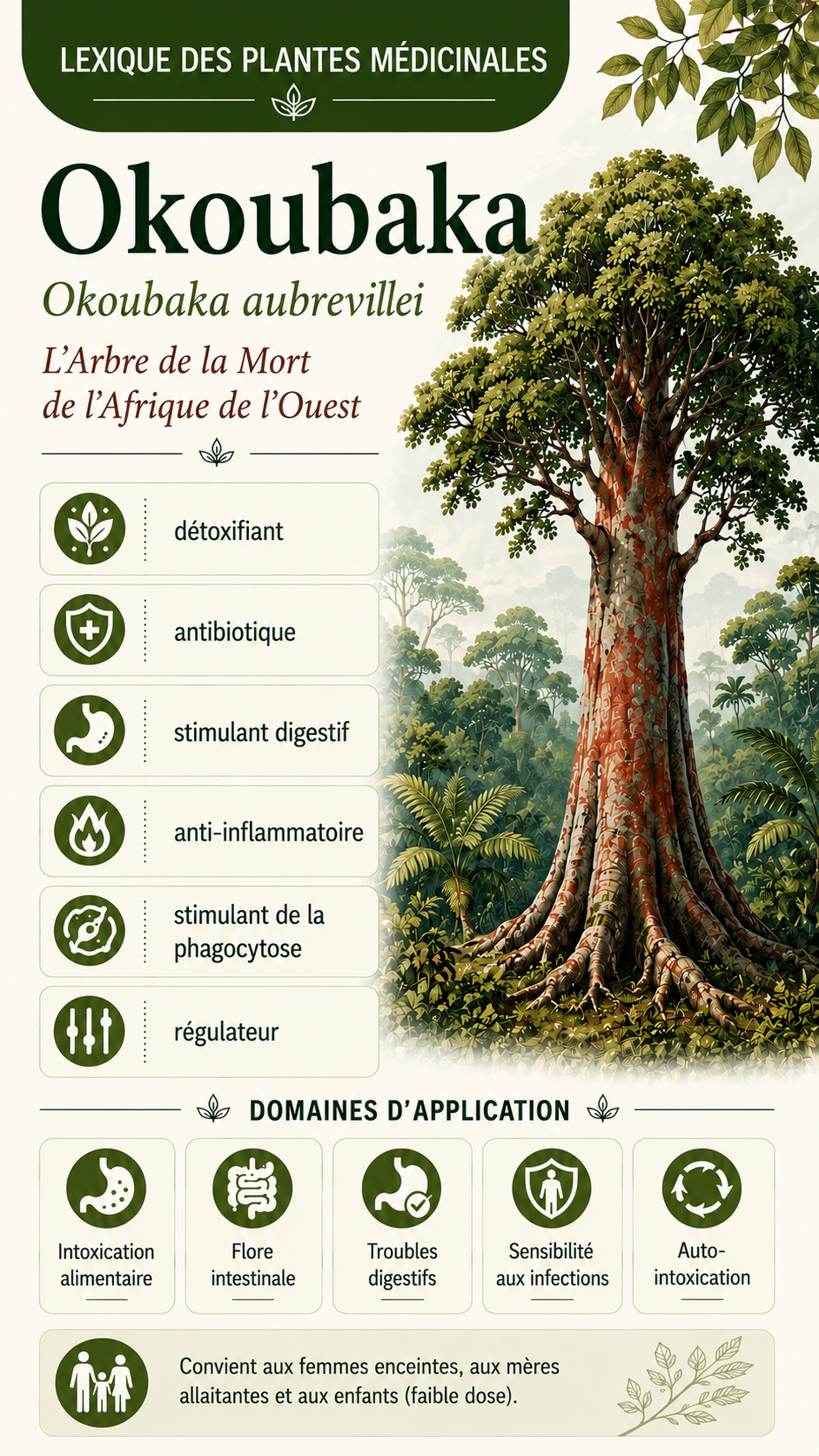 Okoubaka : propriétés, utilisation et effets
