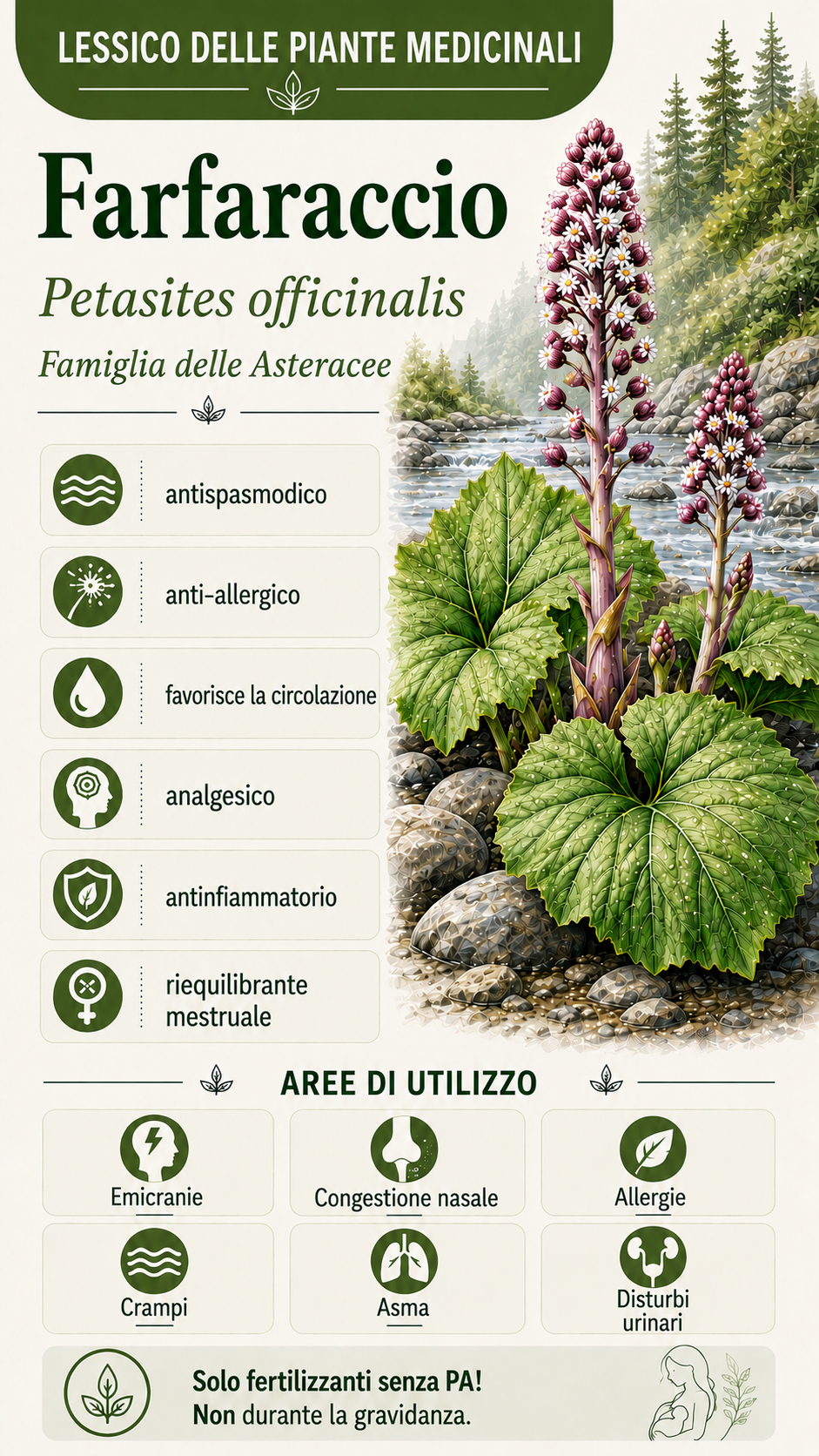 Pietra porosa: proprietà, uso ed effetti