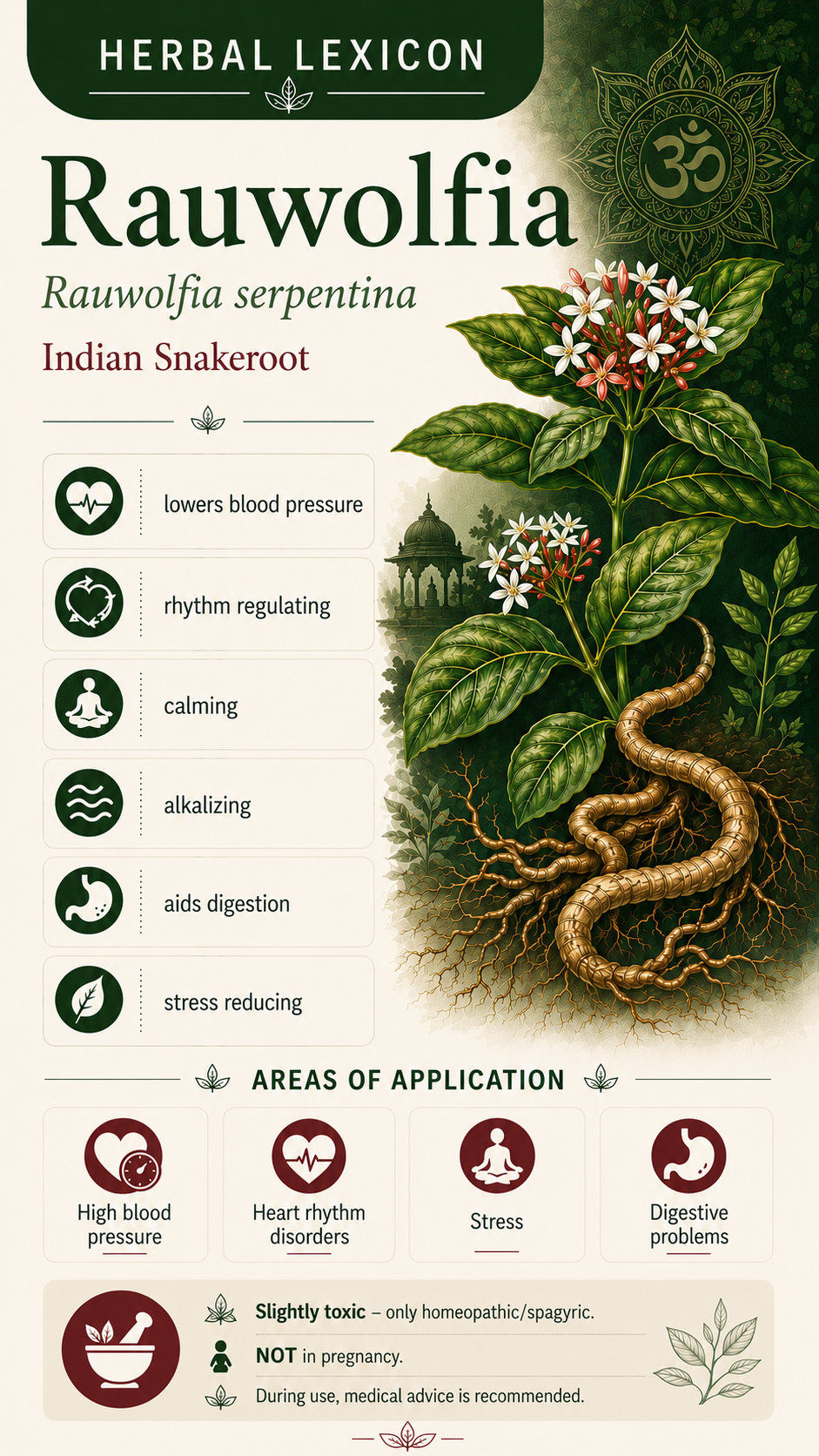 Rauwolfia: Properties, Uses, and Effects