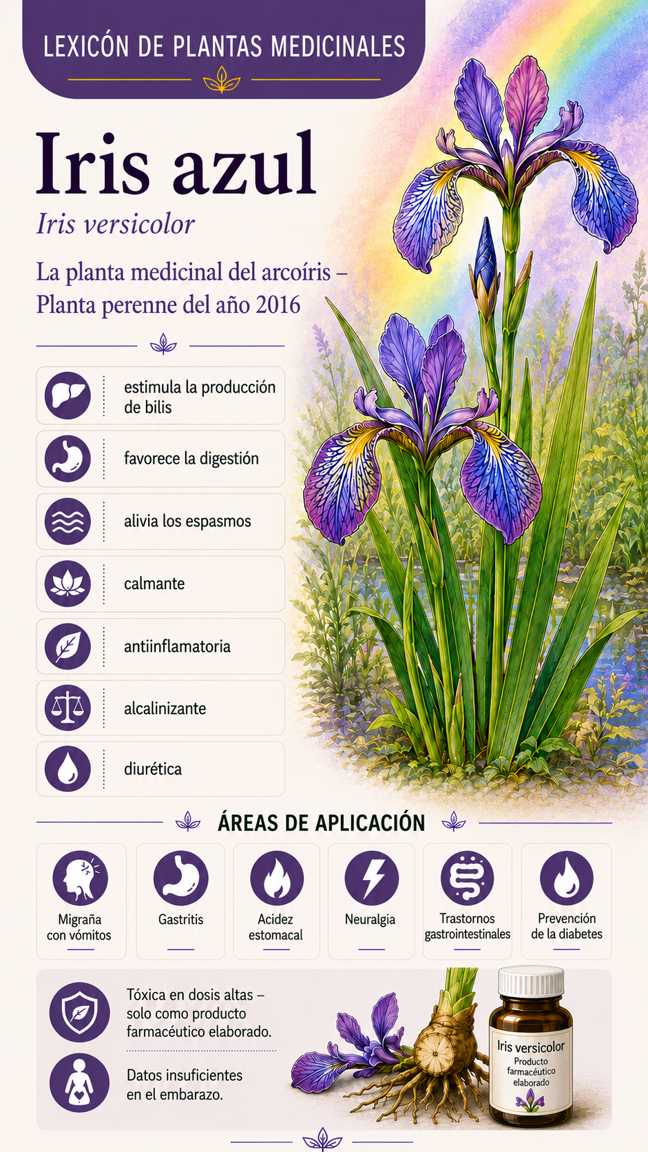 Iris: propiedades, usos y efectos