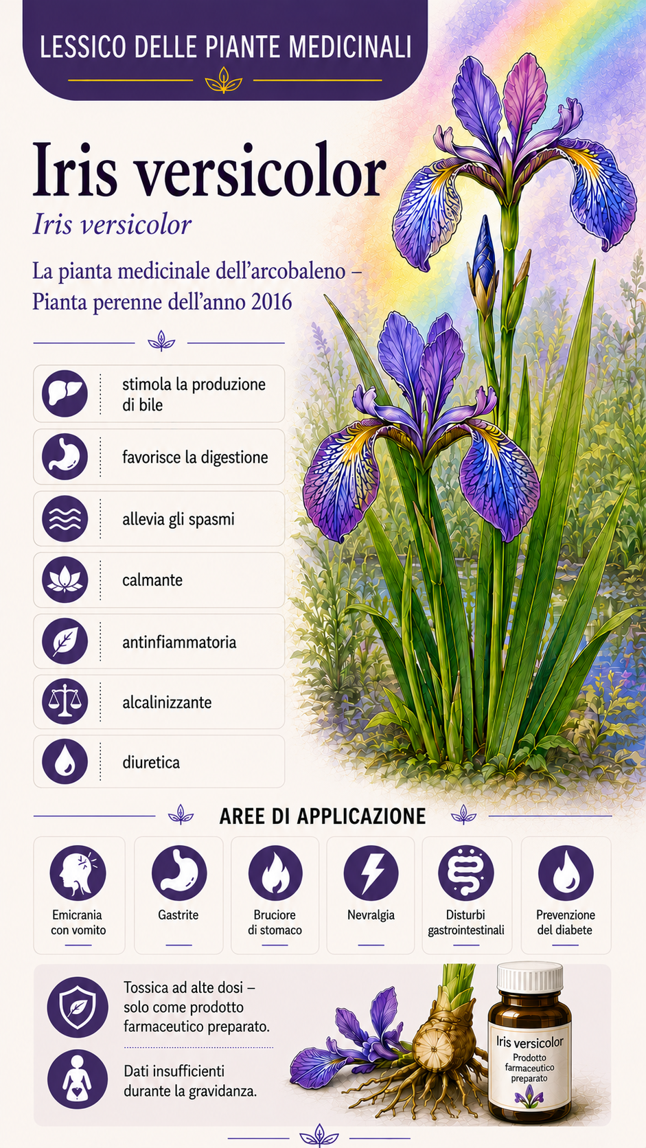 Iris: proprietà, uso ed effetti