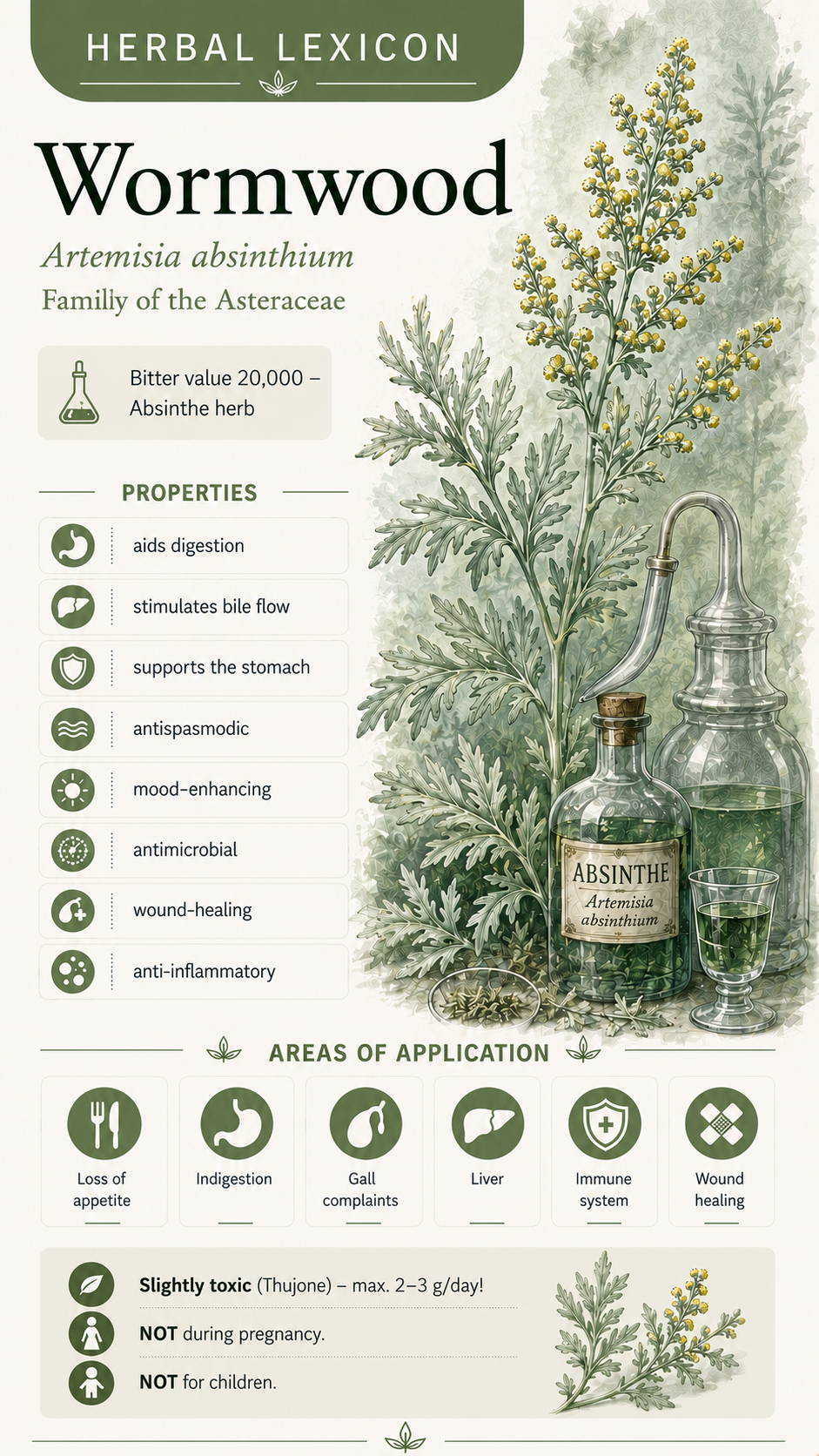 Wormwood (Artemisia absinthium): Properties, Uses & Effects