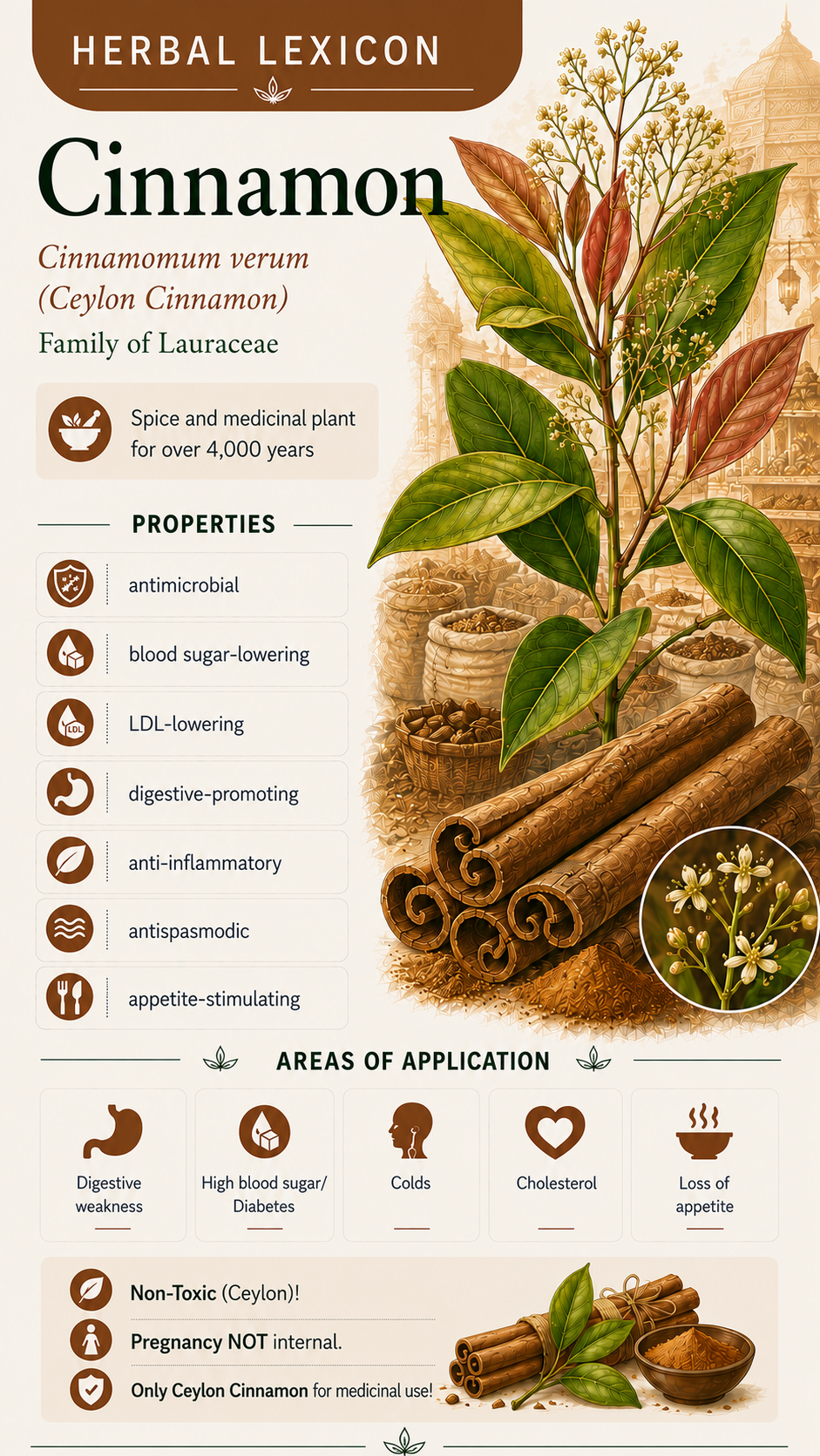 Cinnamon (Cinnamomum verum): Properties, Uses & Effects