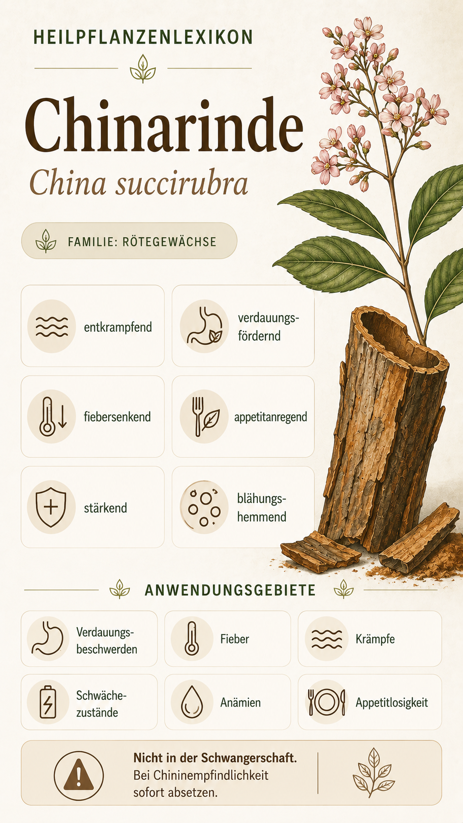 Chinarinde: Eigenschaften, Anwendung & Wirkung