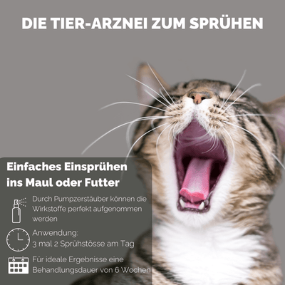 4262416550487_DE_4