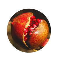 Granatapfel
