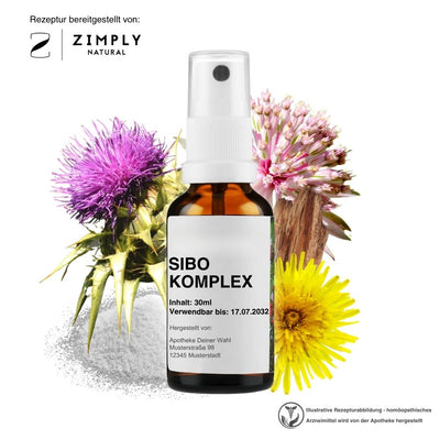 SIBO KOMPLEX